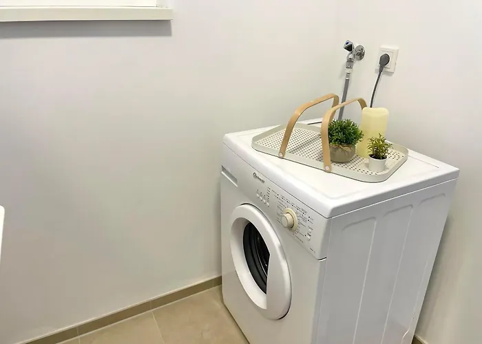 Daire Exklusive 3-zimmer Luxus-maisonette In Hochheim - Naehe Frankfurt Flughafen, Wiesbaden Und Mainz *